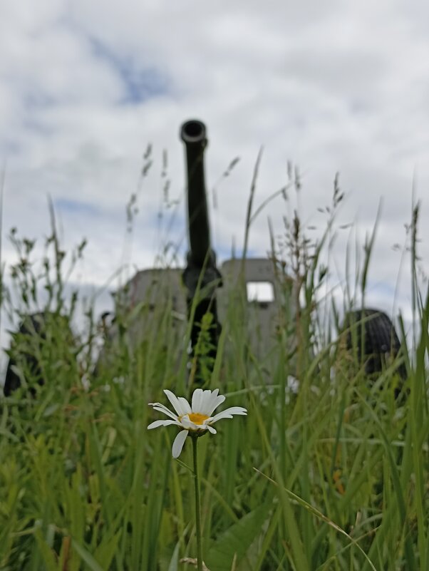 Миру - мир! - Pippa 