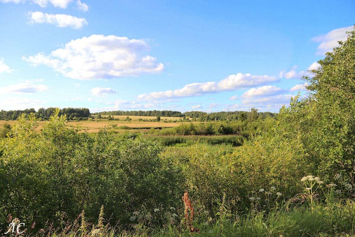 Родные просторы - Любовь Сахарова