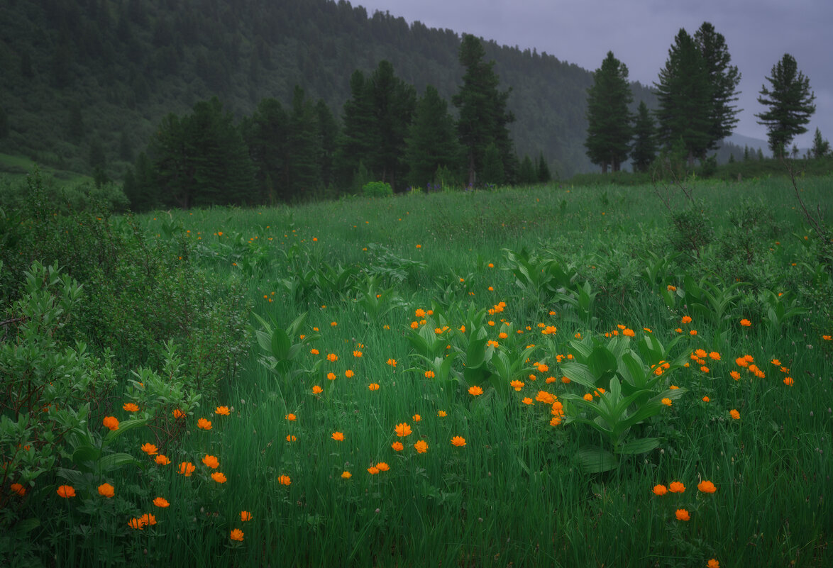 * - Александр Иванов