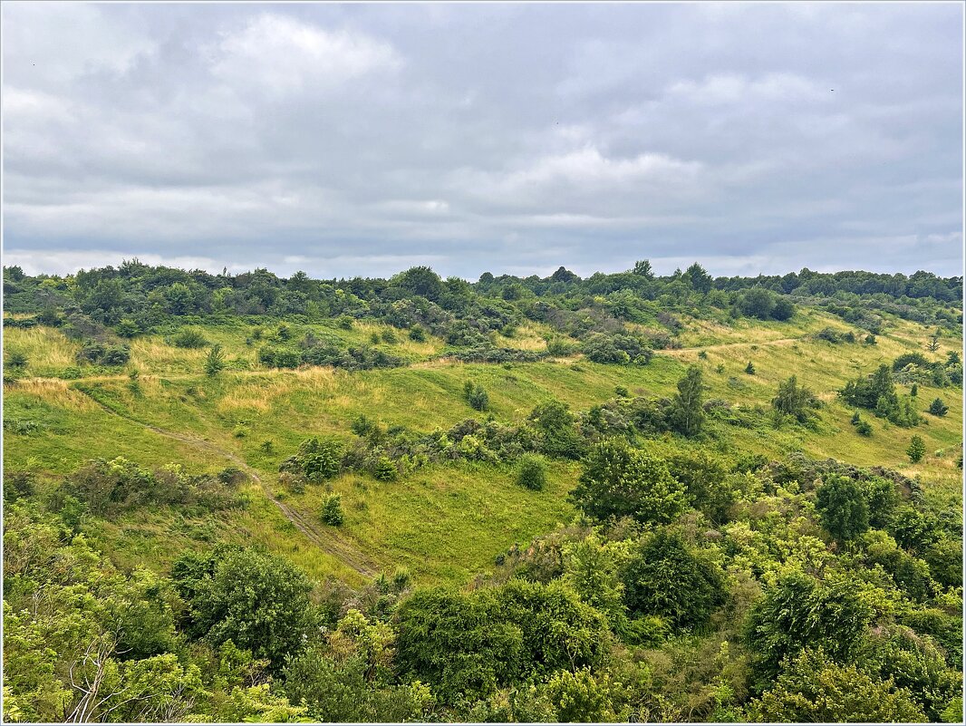 Природа Филинской бухты. - Валерия Комова