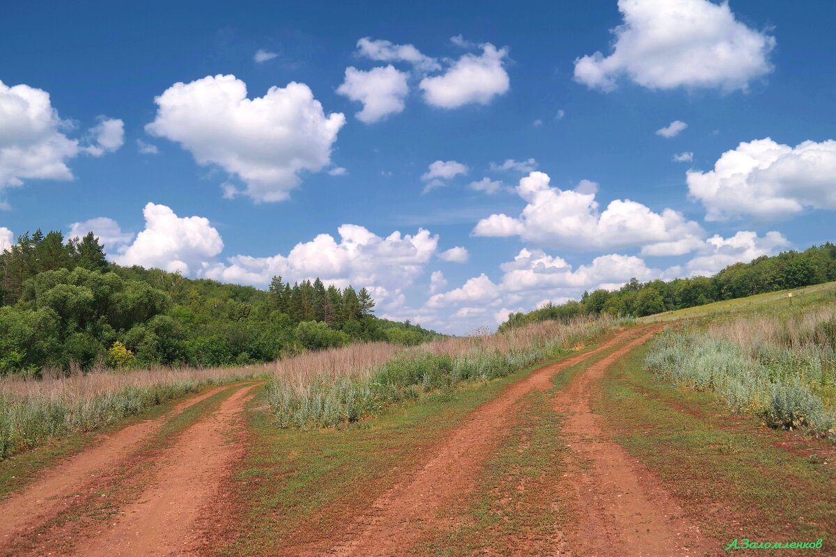 На развилках июля... - Андрей Заломленков