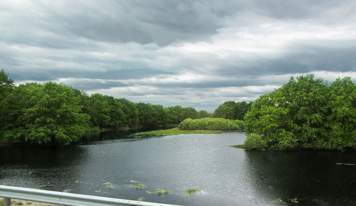 Река Веряжка - Александр Ильчевский 