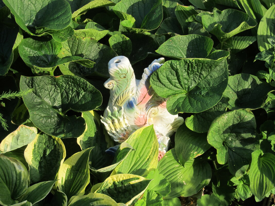 дачное - Елена Шаламова