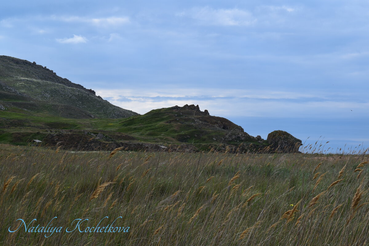 Природа Крыма - Amazing Cosmea