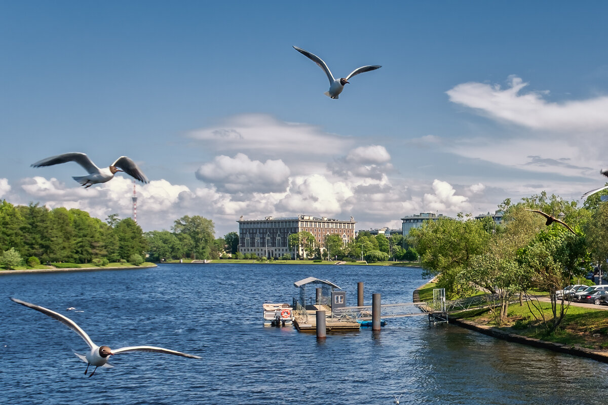 Река Средняя Невка - Сергей Шатохин 