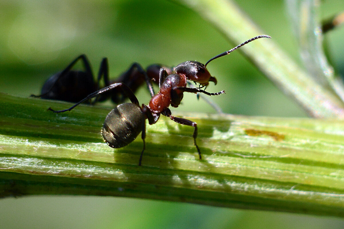 Дорожный  указатель - Геннадий Супрун