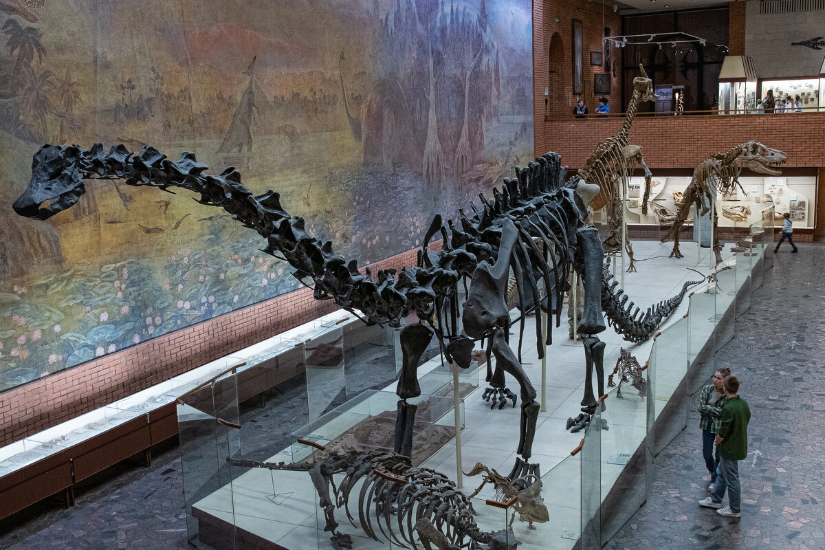 В муззе - Павел Катков