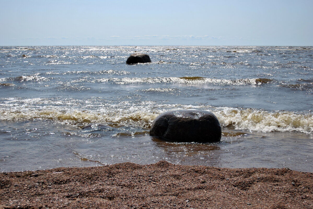 "У бегемота нету талии .." - AleksSPb Лесниченко