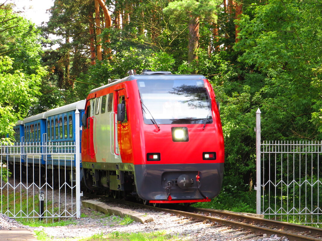 Появился из-за леса - Андрей Снегерёв Появился из-за леса - Андрей Снегерёв