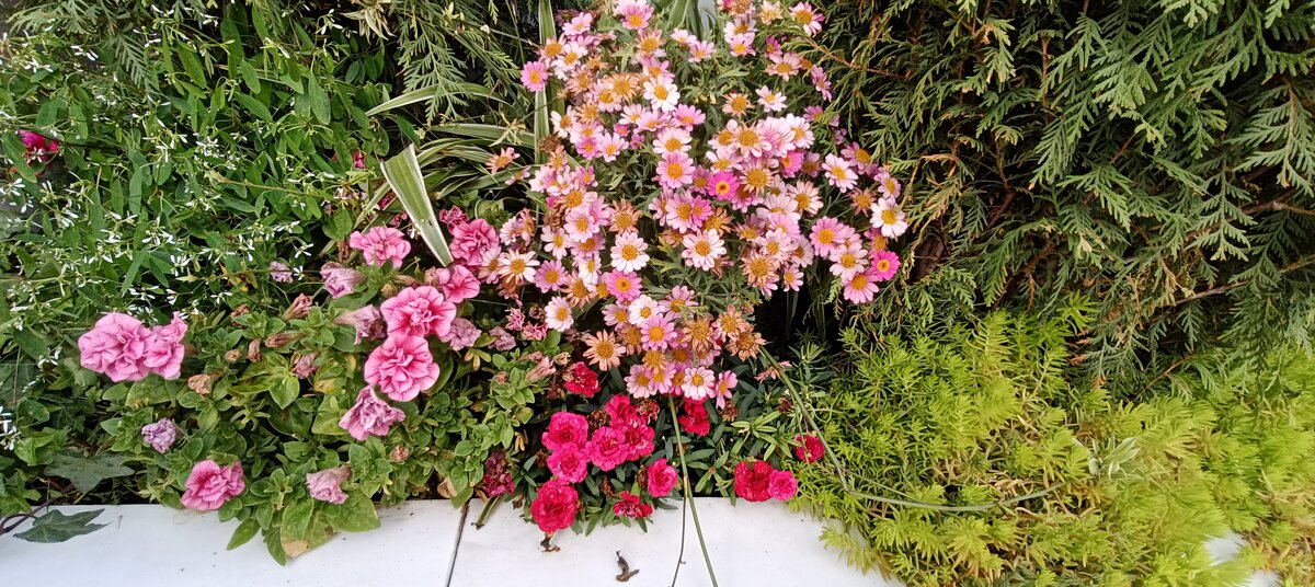 цветы летнего фестиваля - Галина R...