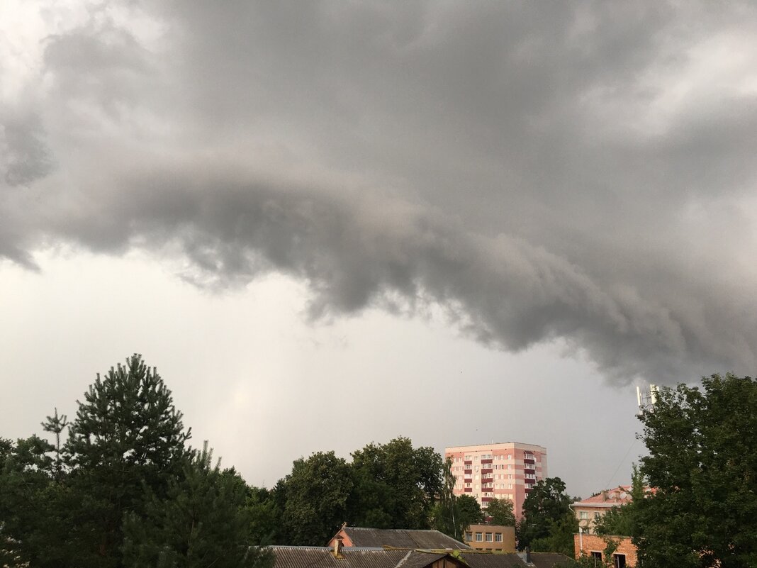 Тучища... - Владимир Павлов