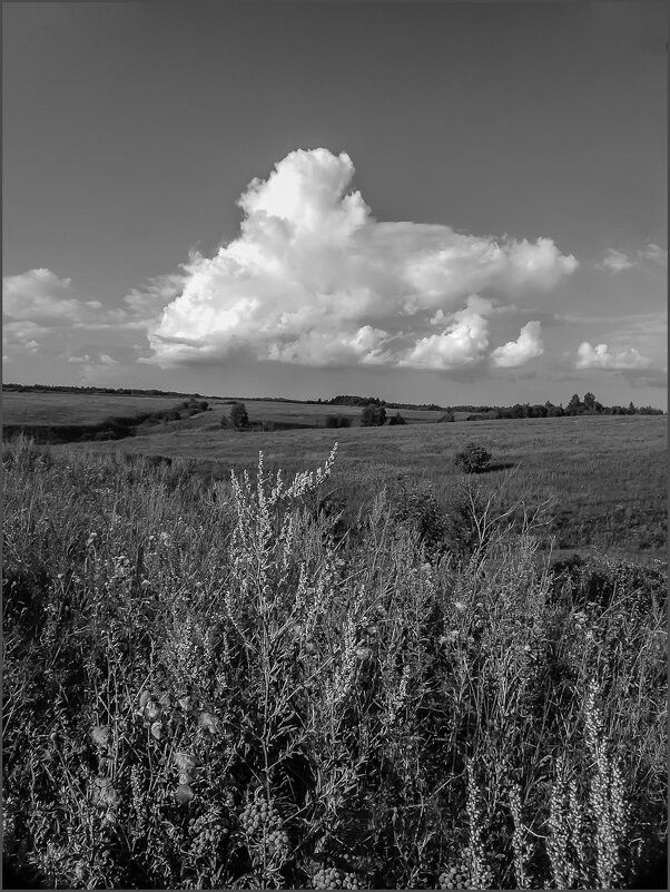 Летний зной - Наталья Rosenwasser