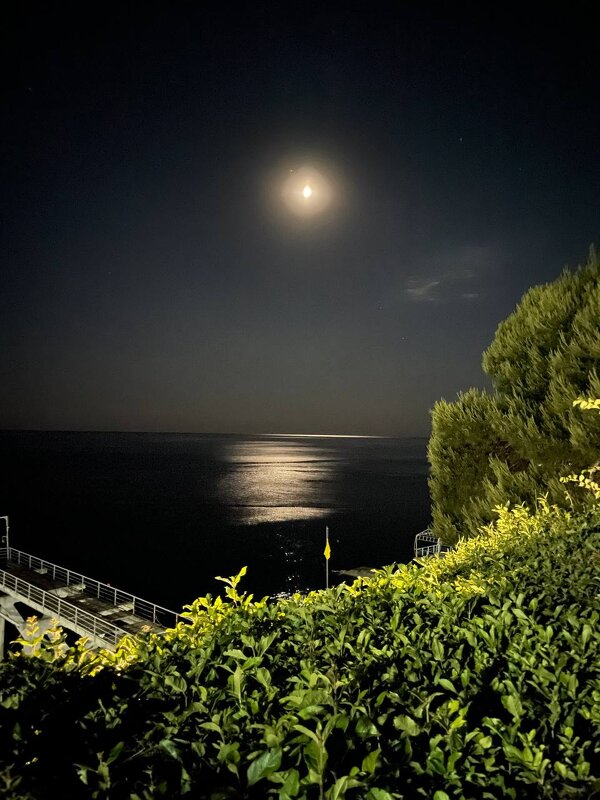 Эта лунная ночь! - Надежда 