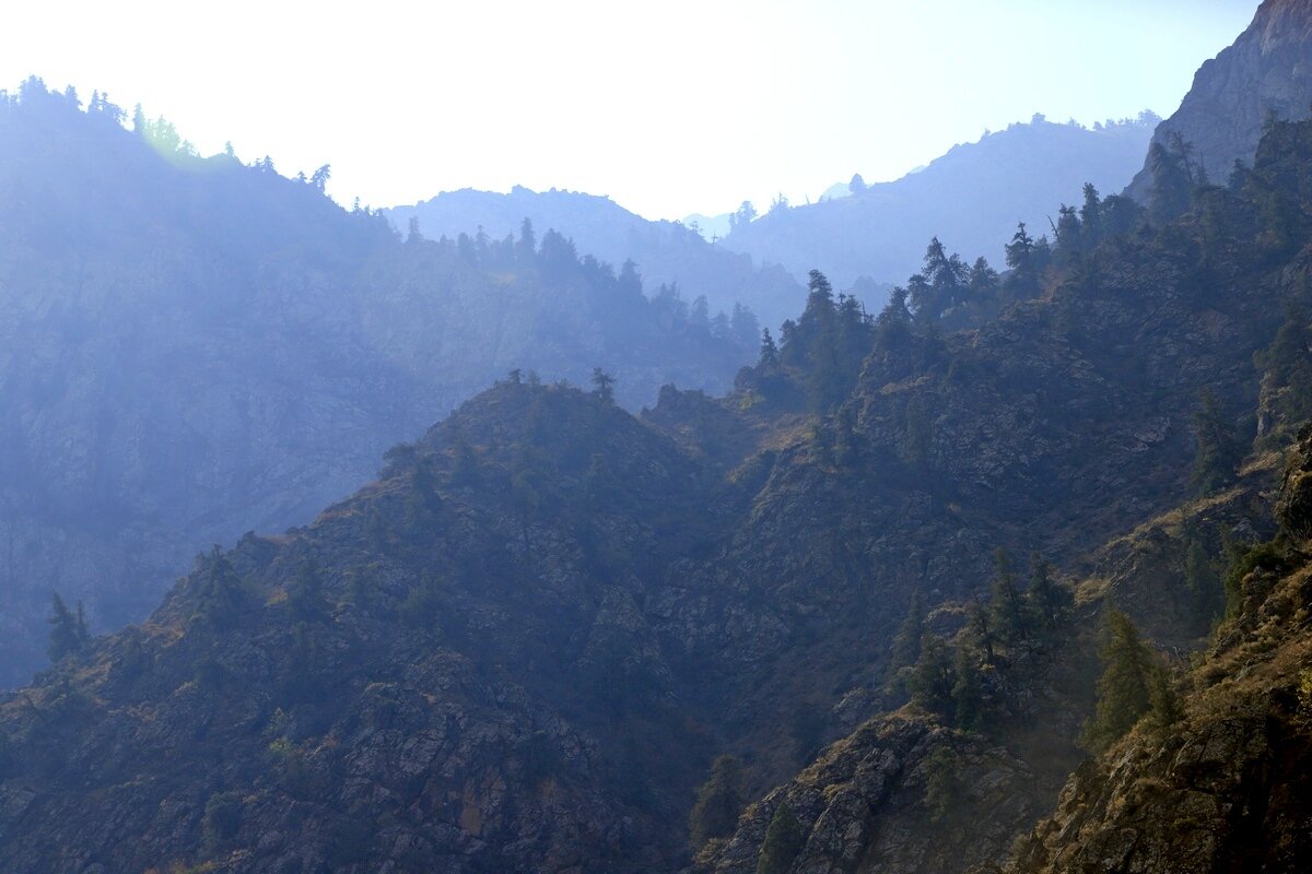 ПО НИЗАМ. - Виктор Осипчук