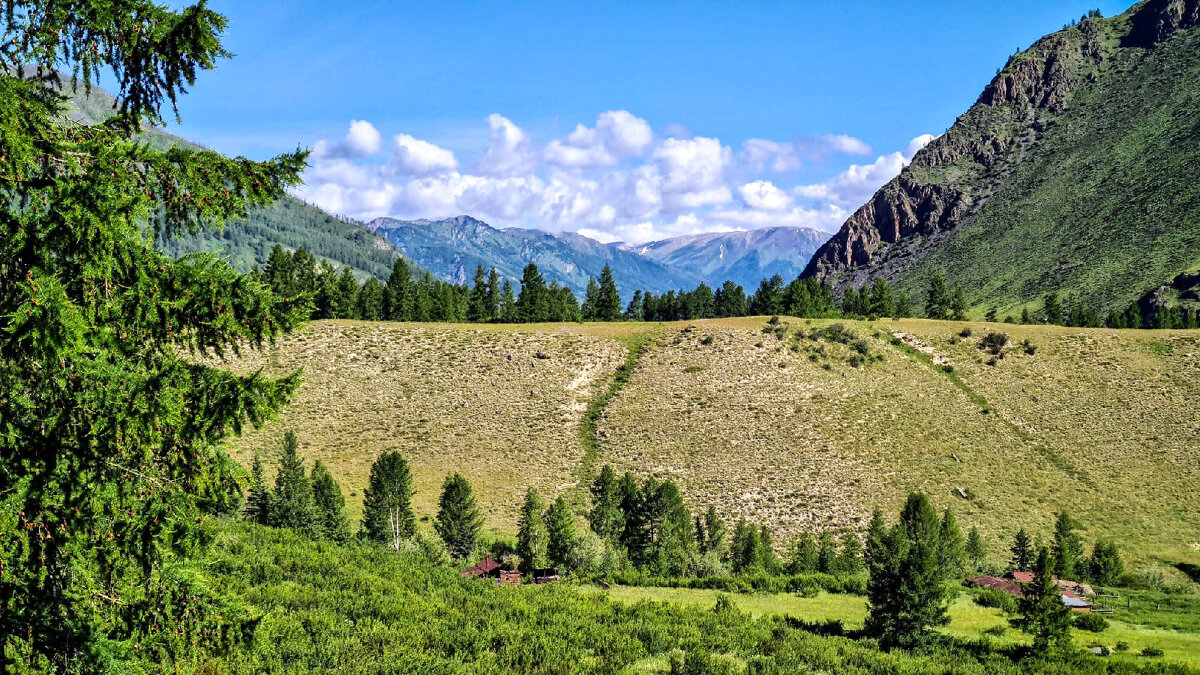 Алтай - Виктор Фоменко