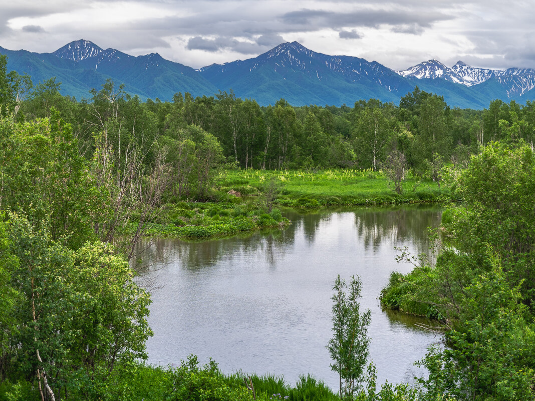 ... - Жора Житников