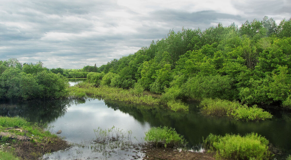 Река Видогощь - Александр Ильчевский 