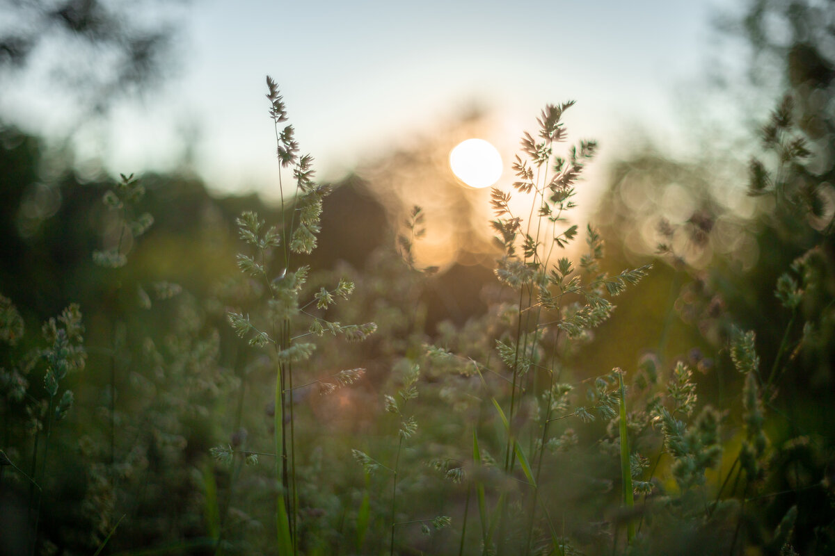 Тихий вечер - Олег Дорошенко