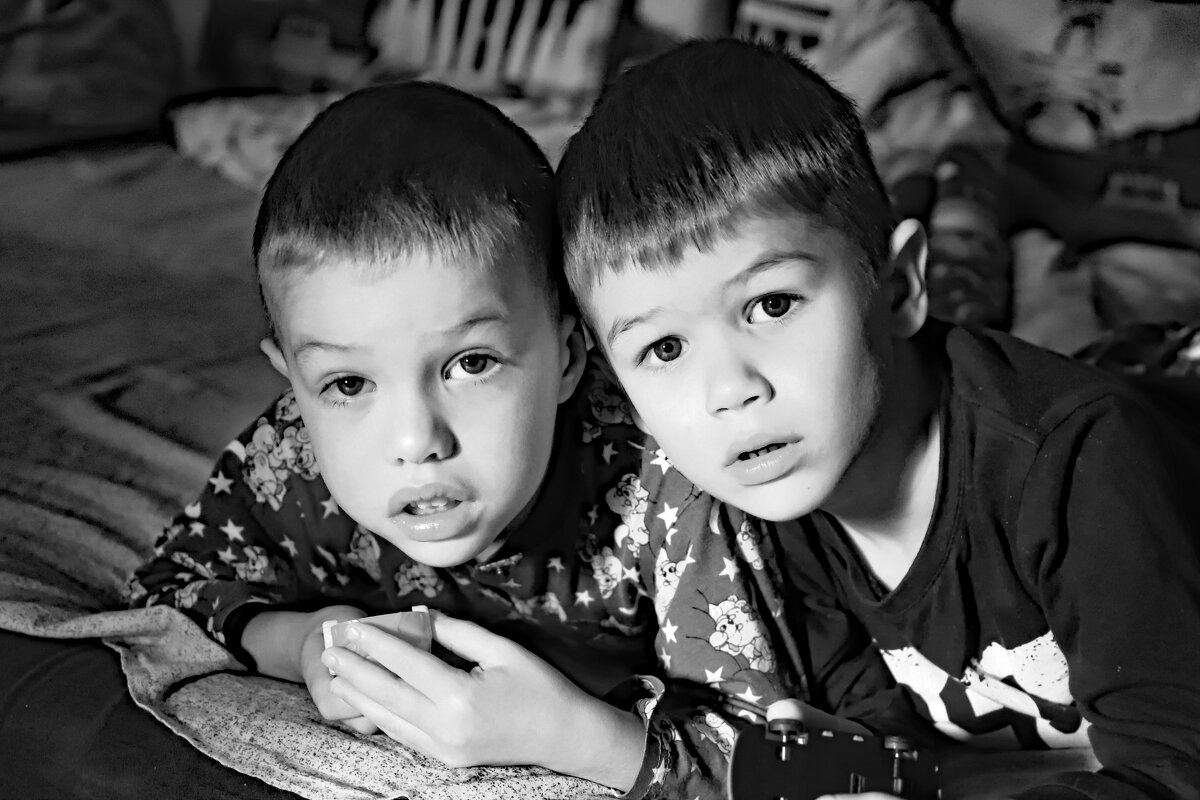 Братья - краснов юрий 