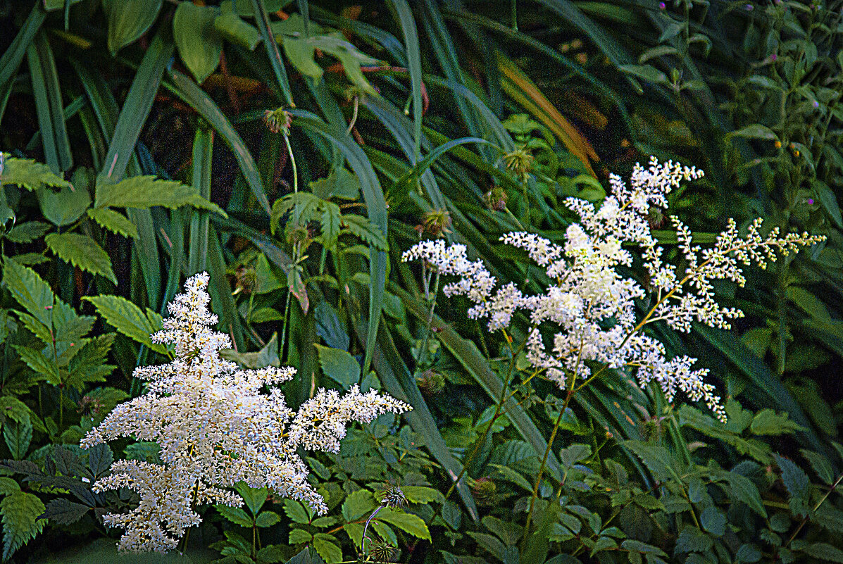Фотозарисовка, Троицк - Владимир Кроливец