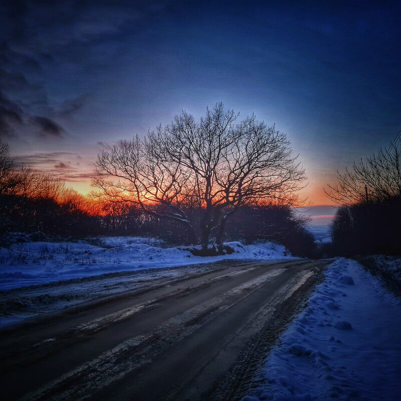 Зимняя дорога - Renkse L.J.