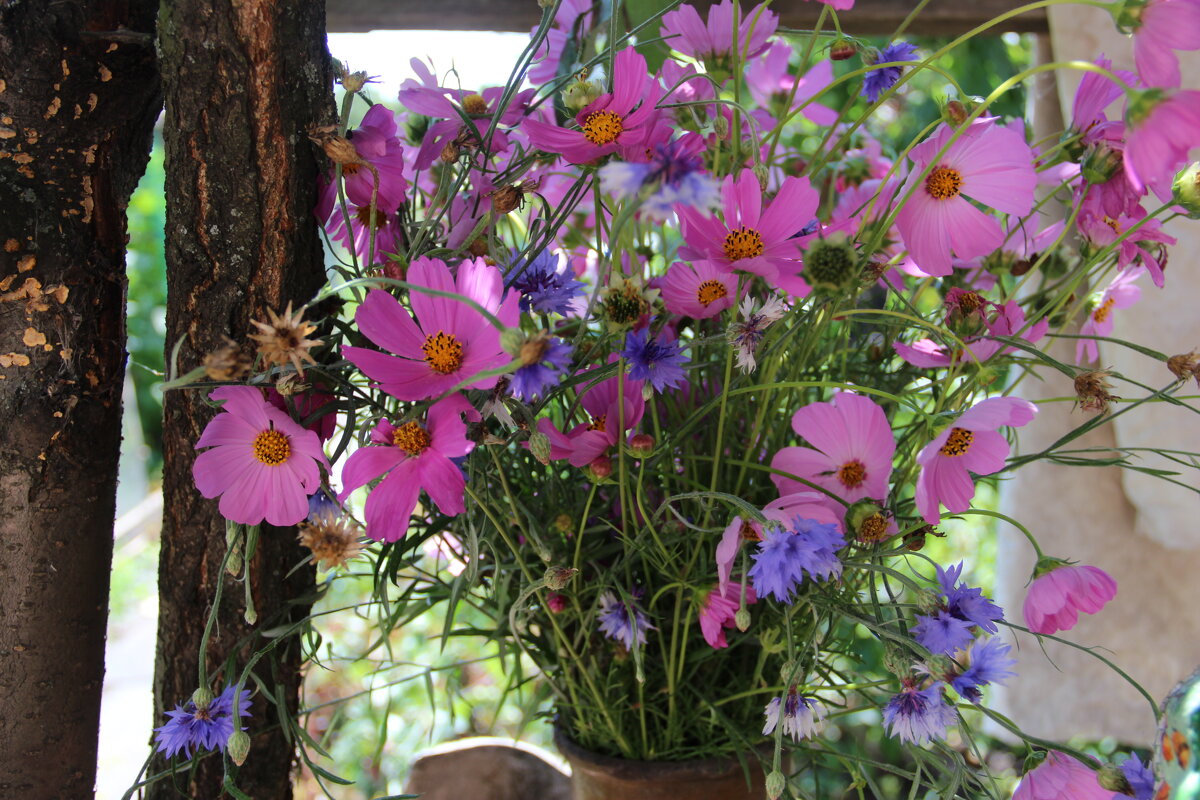 Июль. - Венера Чуйкова