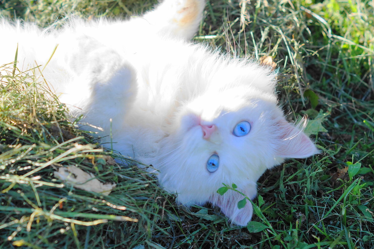 Жарко мне. - Сергей Ц