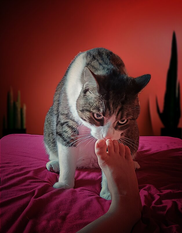 ... - ВЛАДИМИР 