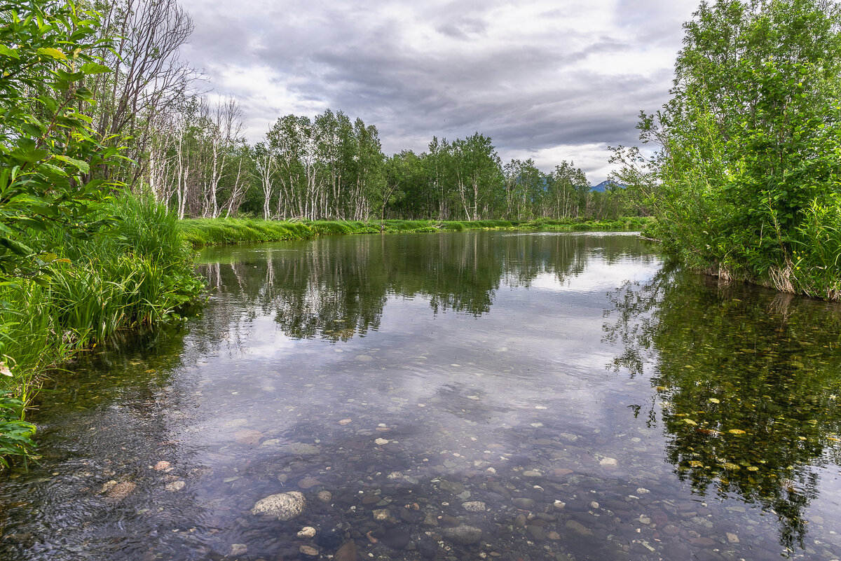 ... - Жора Житников