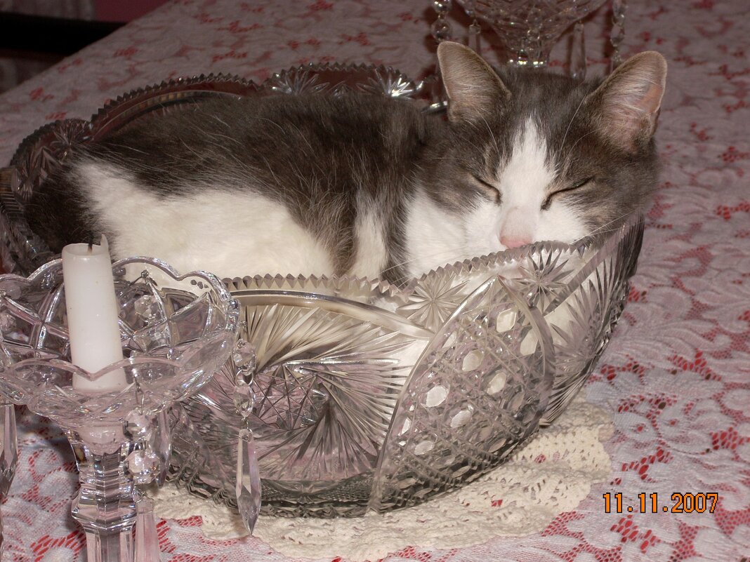 Сладкий  Сон... - Валерий Кокорев