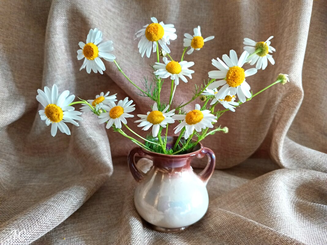Ромашки в букете - Любовь Сахарова