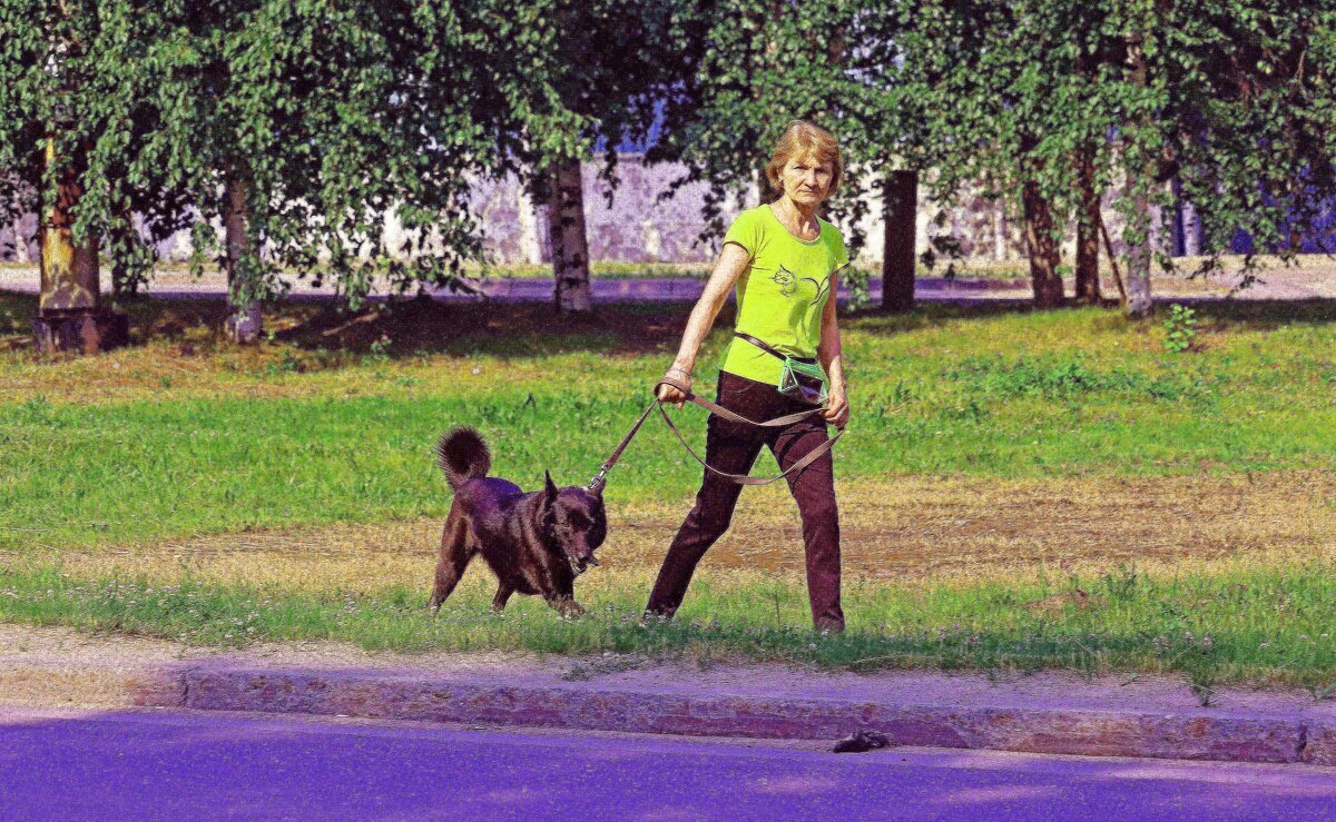 Июль...Упрямый пес! - Владимир 