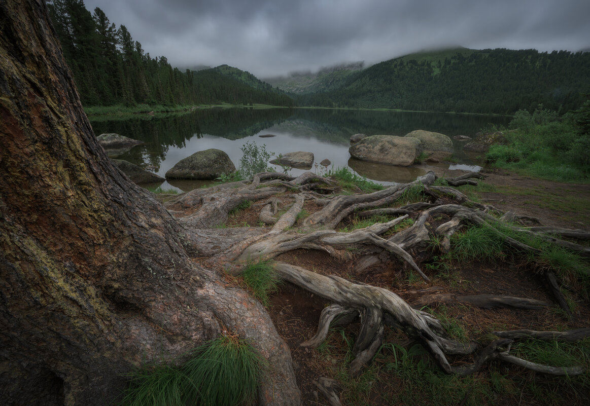 * - Александр Иванов * - Александр Иванов