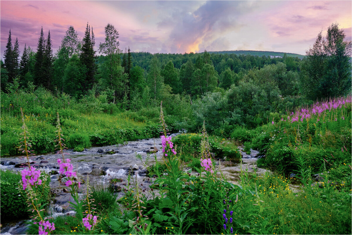 Июльский вечер в тайге - Алексей Мезенцев Июльский вечер в тайге - Алексей Мезенцев
