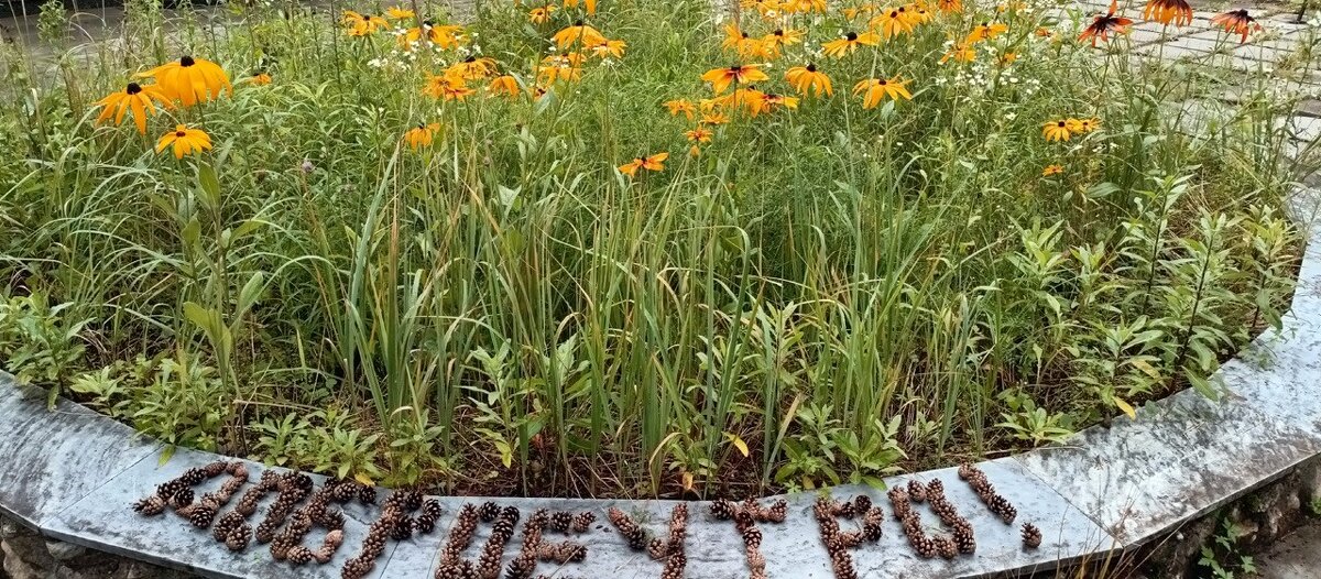 доброе утро! - Михаил Столяров доброе утро! - Михаил Столяров