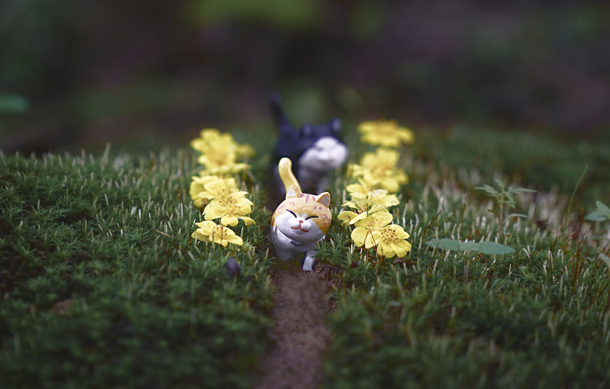 Макро беспредел) - Эдуард Куклин