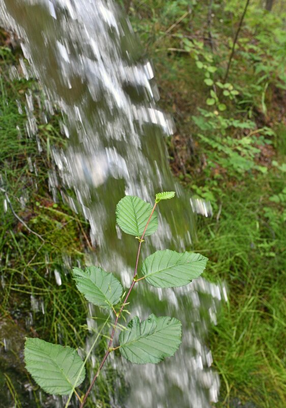 Скорость падения воды - Сергей Шаврин