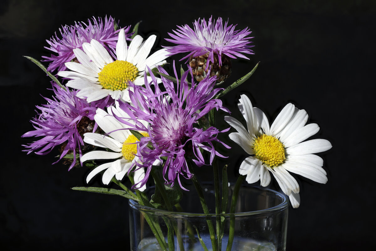 Полевые цветы - Oleg S