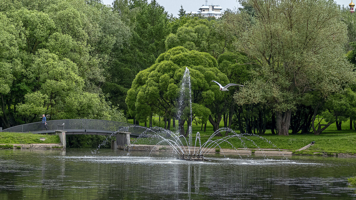 Парки Москвы - Aleksey Afonin