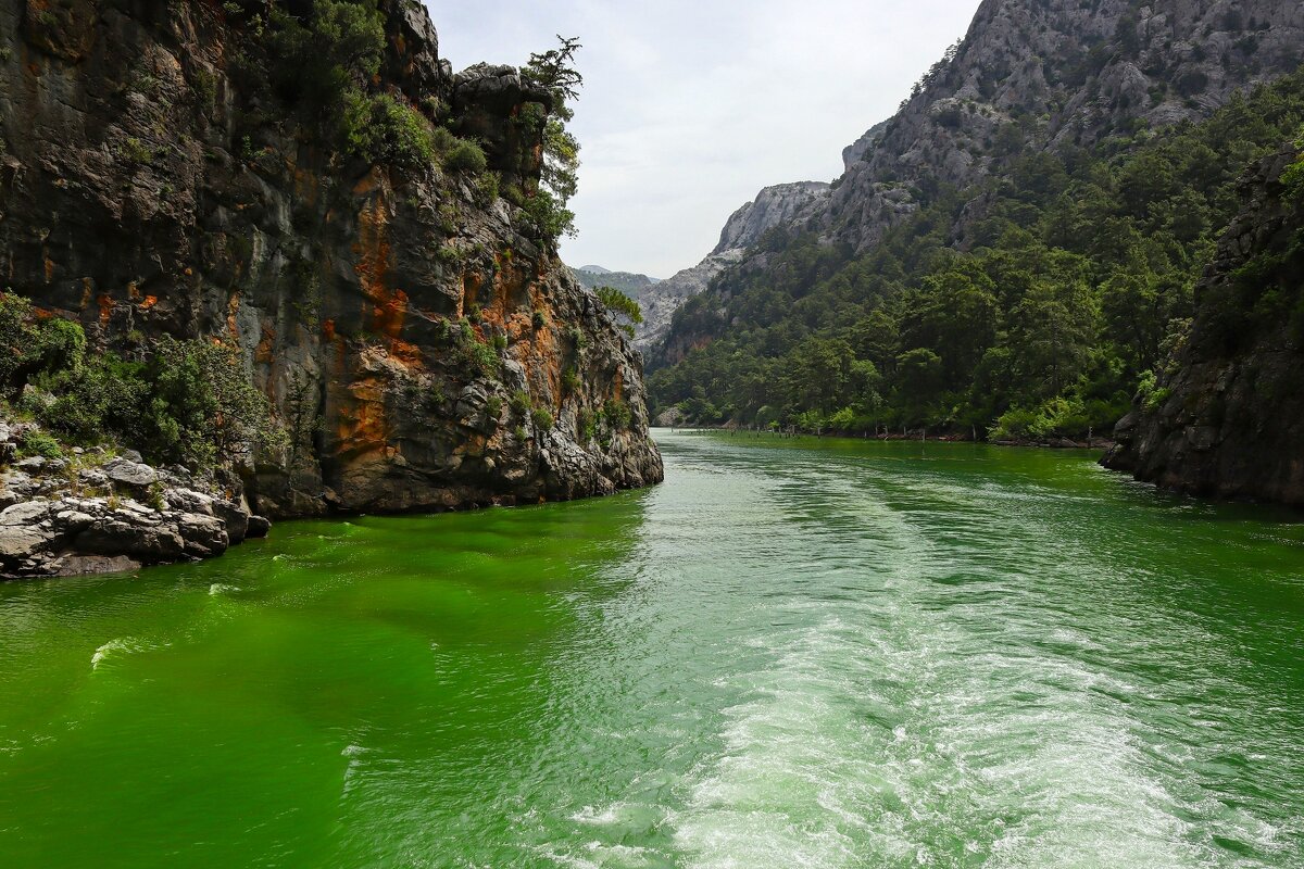 Зелёный каньон - Юрий. Шмаков