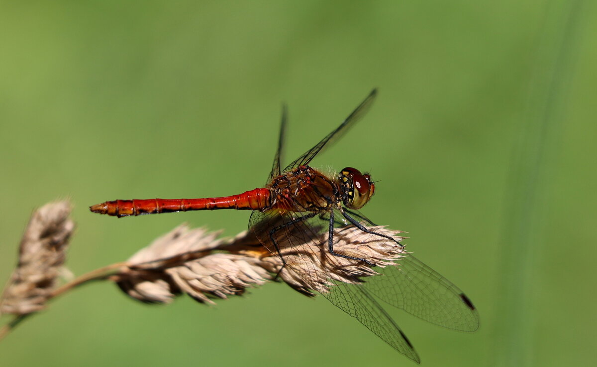 Отдых. - Александр Кондаков
