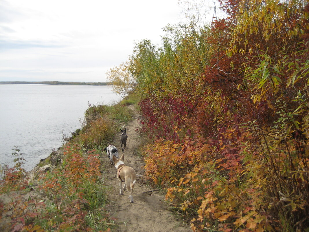 На берегу - Anna Ivanova На берегу - Anna Ivanova