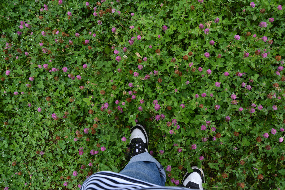 * - Наталья Покацкая