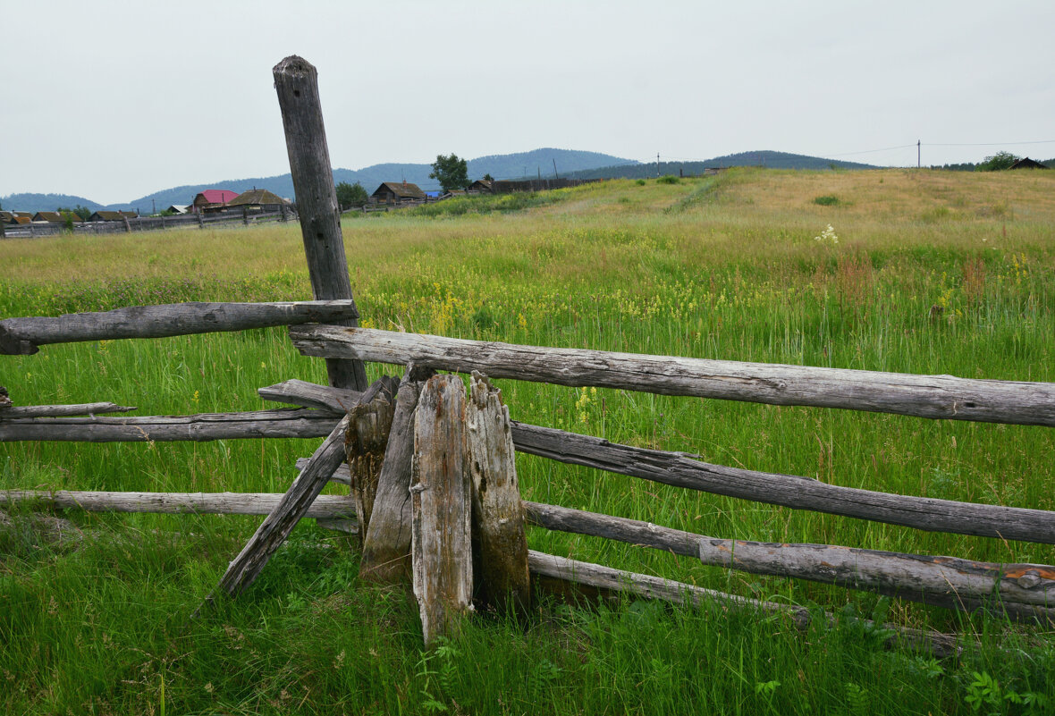 * - Наталья Покацкая