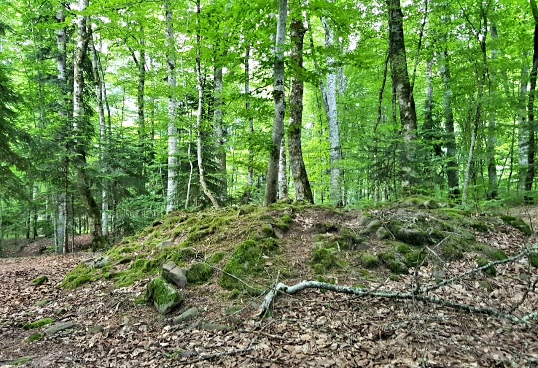 СЕВЕРНЫЙ КАВКАЗ - Tata Wolf