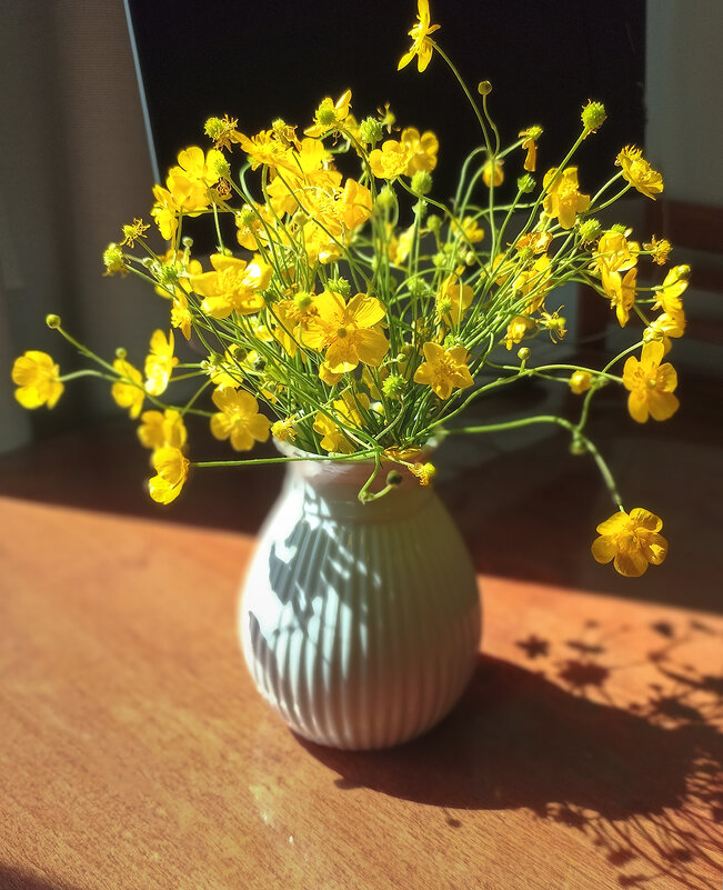 Солнечные лютики. - Лилия *