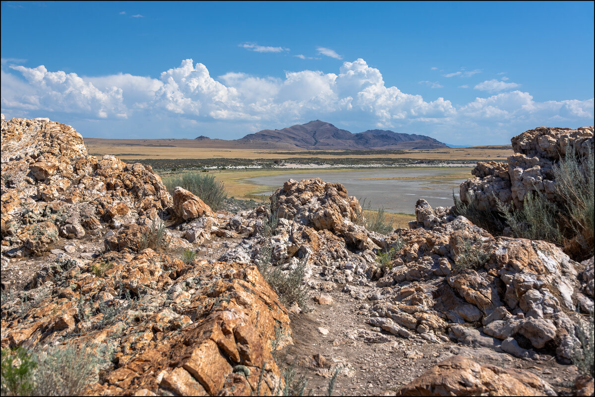 Остров Антилопы - **** vedin