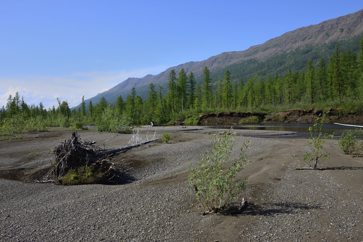 *** - Александр Хаецкий