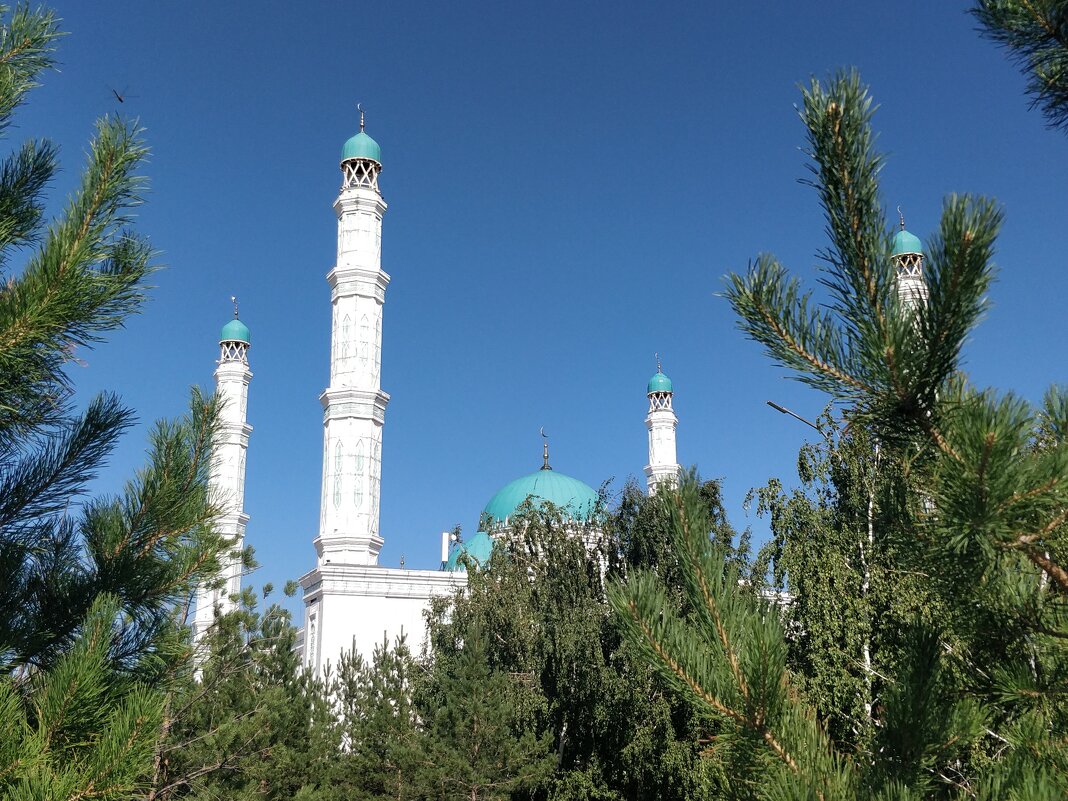 Белая мечеть - Андрей Хлопонин