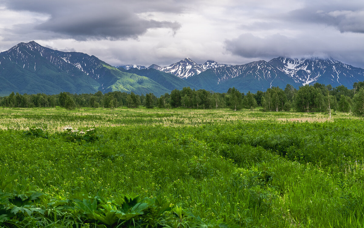 ... - Жора Житников